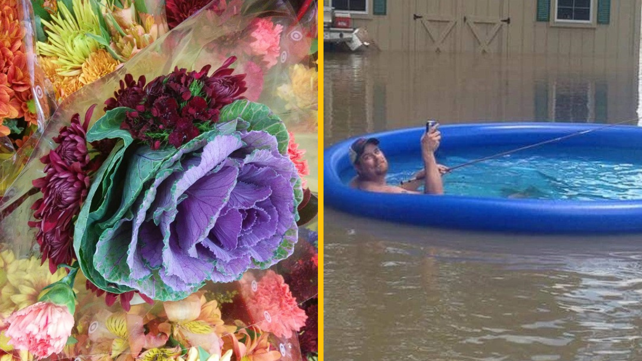 Týchto 10 fotografií sa len ťažko vysvetľuje