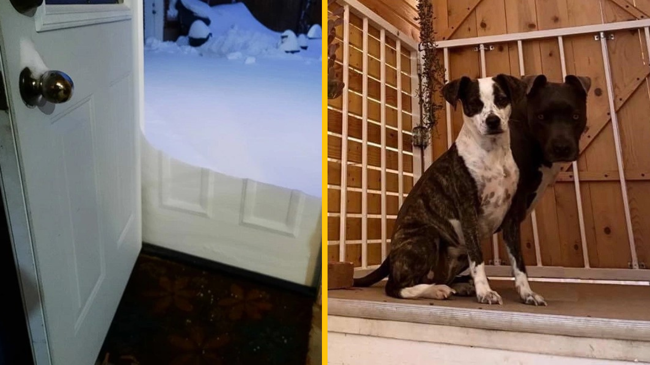 Týchto 10 fotografií dokazuje, že všetko je možné, keď máte foťák