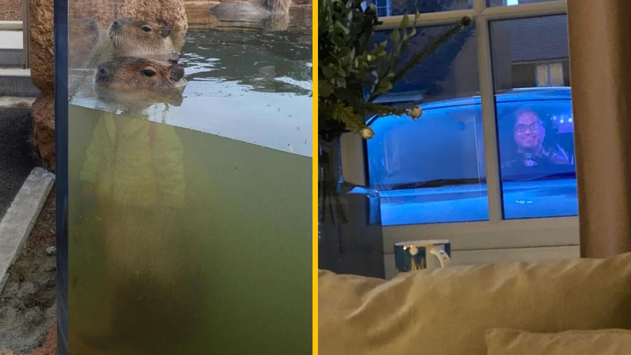 Na týchto 10 fotografií sa budete musieť pozrieť dvakrát