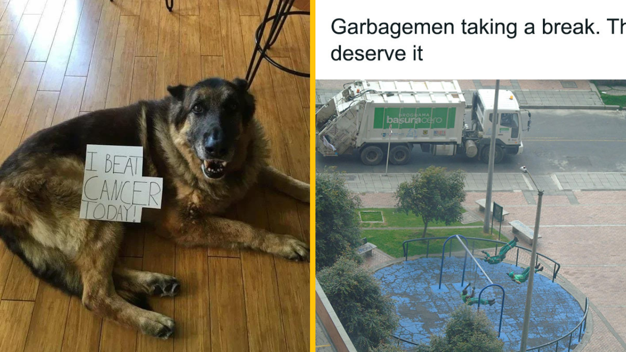 Týchto 11 fotiek vás nenechá chladnými