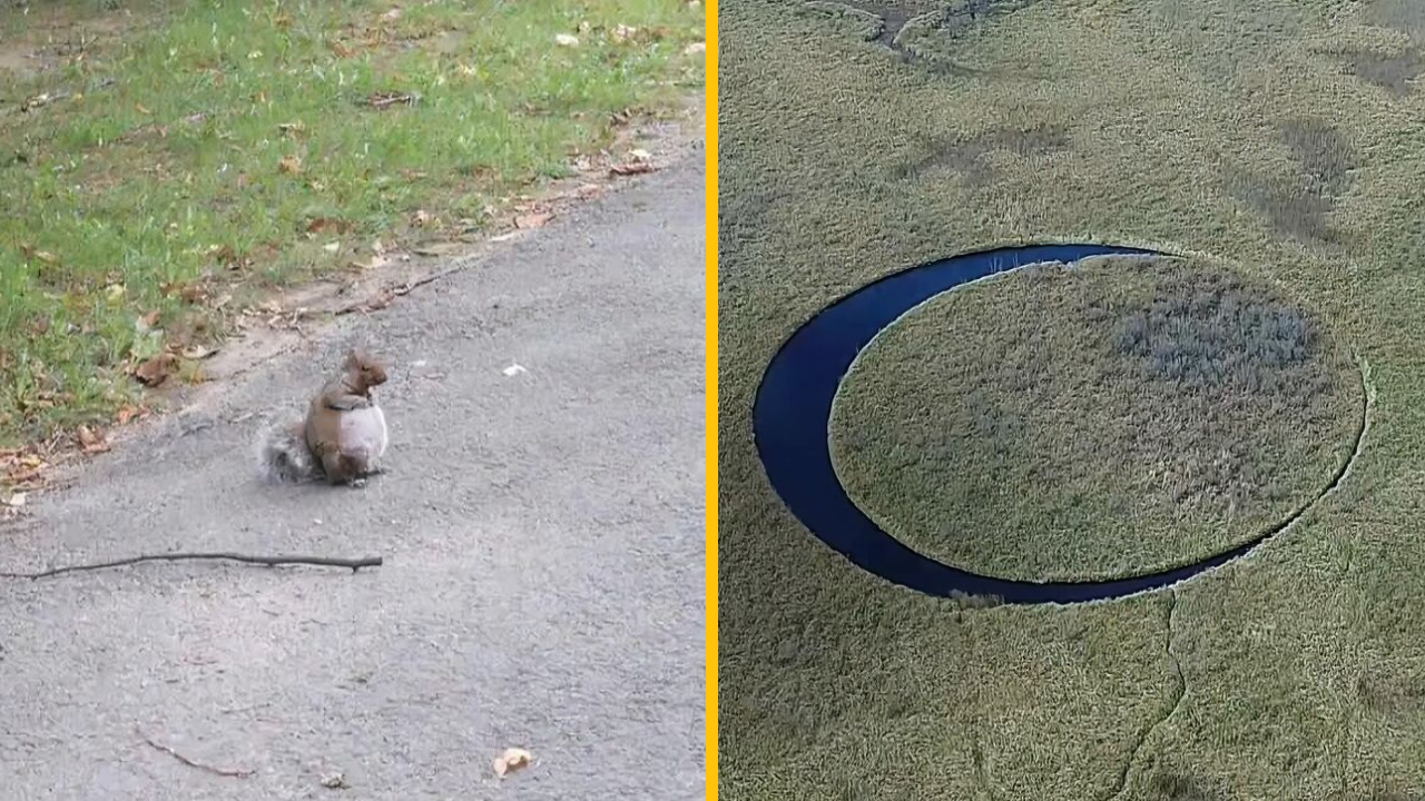 Na týchto 10 fotografií nie ste pripravení (1. časť)