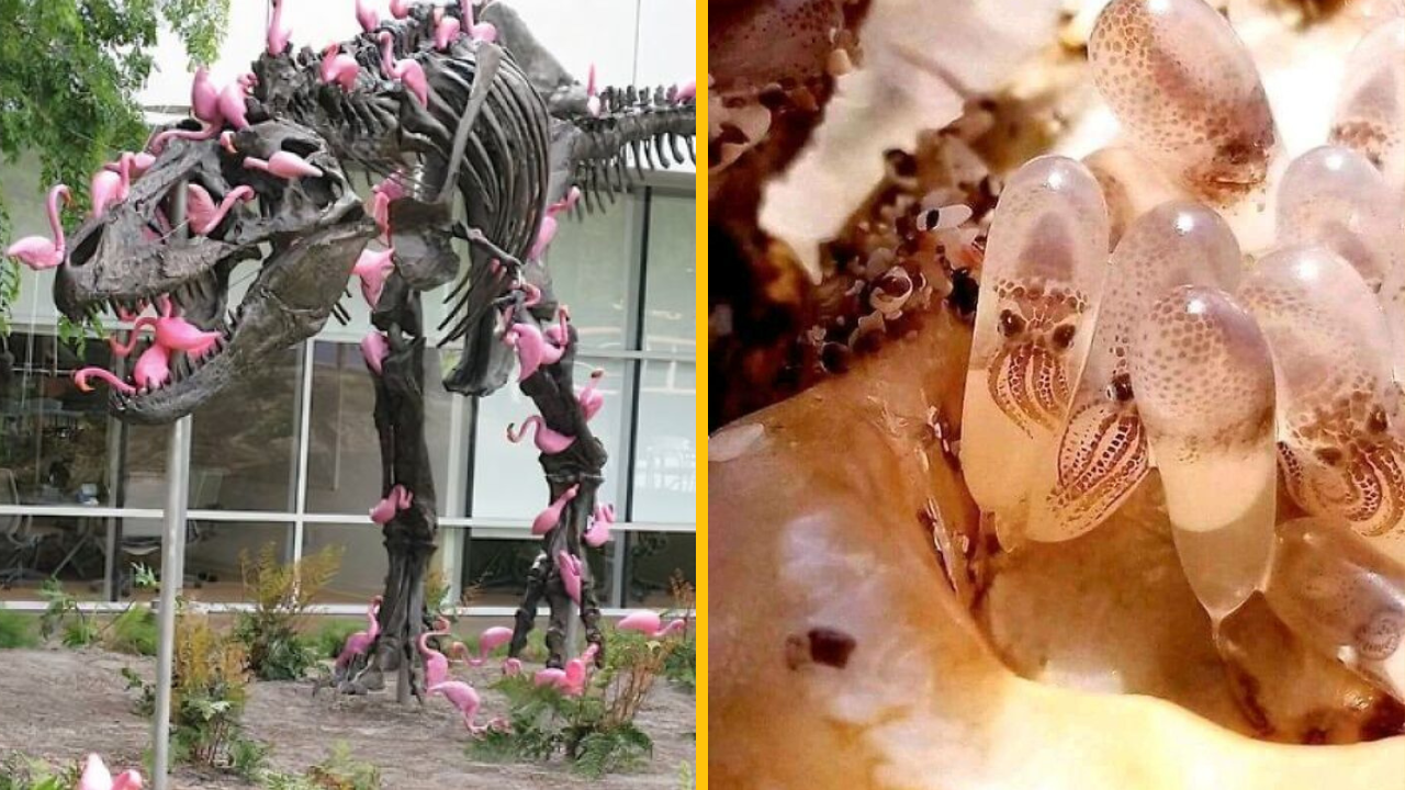 Na týchto 10 fotografií nie ste pripravení (2. časť)