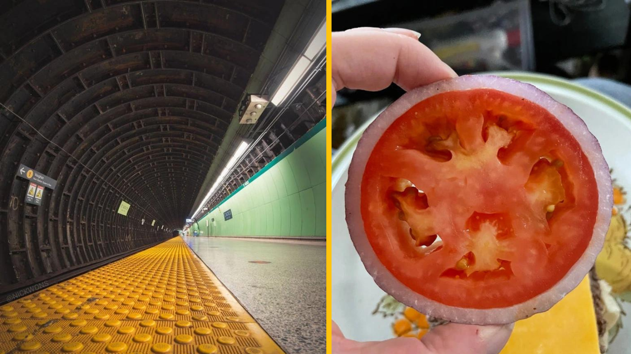 13 fotiek, ktoré dokazujú, že dokonalosť existuje
