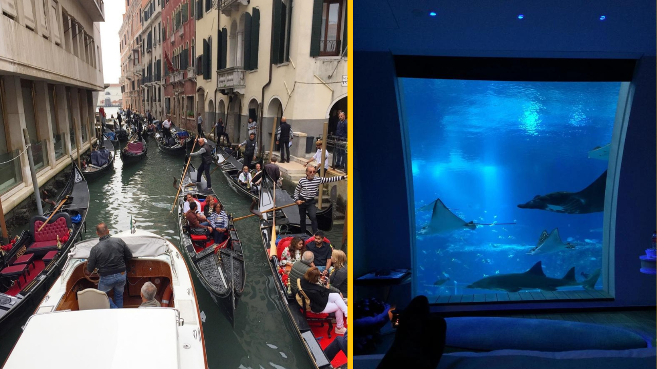 12 ľudí, ktorí na ich dovolenku tak skoro nezabudnú