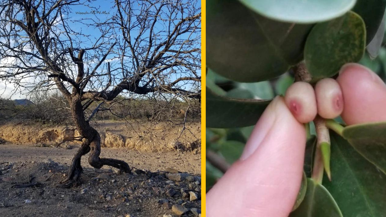 10 fotiek z prírody, ktoré naštartujú vašu predstavivosť