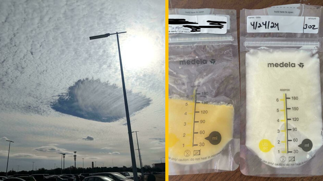 14 fotiek, ktoré urobia váš deň zaujímavejším (1. časť )