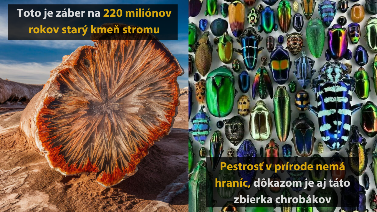 10 zaujímavých obrázkov, ktoré dokonale poukazujú na prírodné kontrasty #3