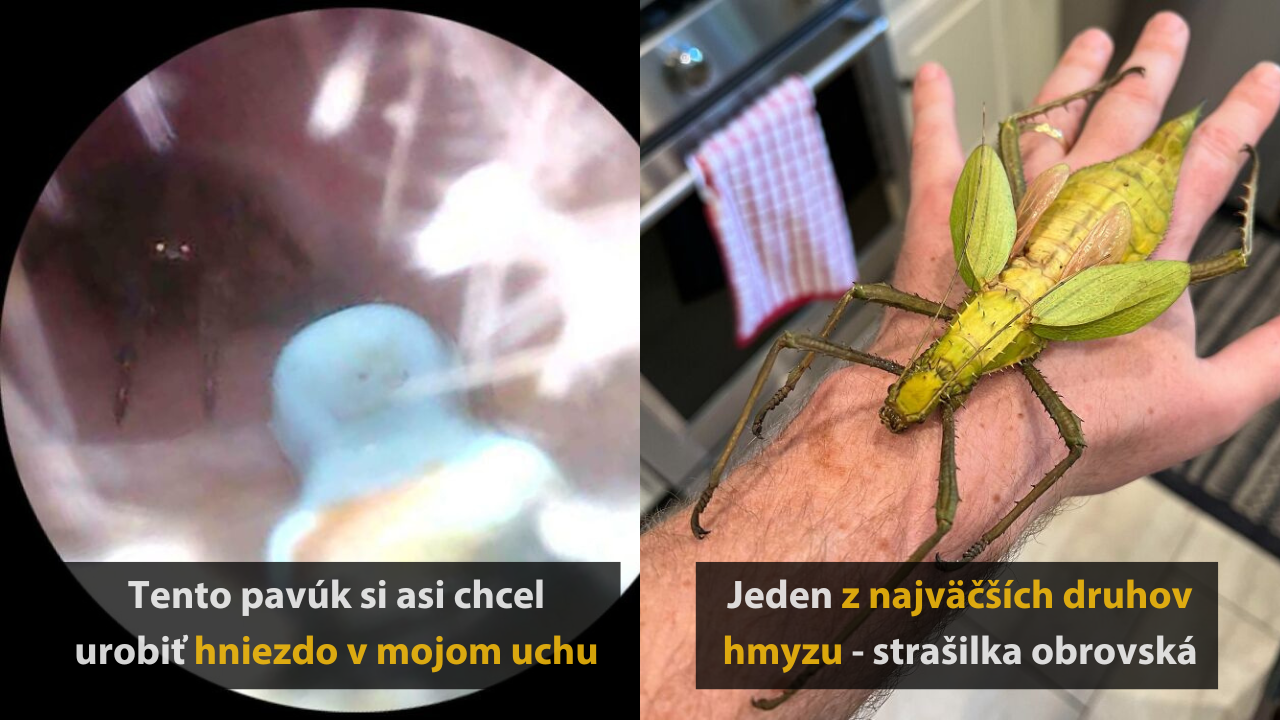 10 obrázkov, ktoré dokazujú, že príroda môže byť krásna, no aj desivá #2