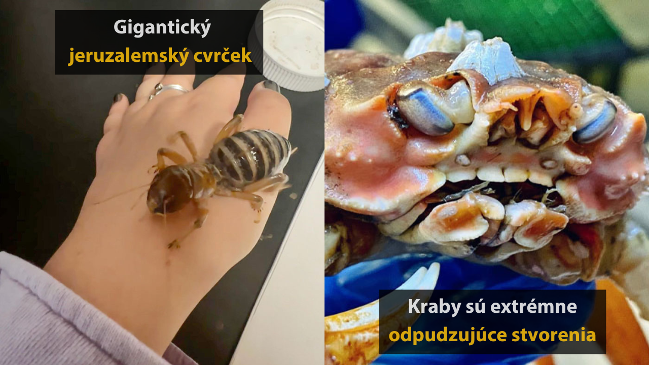 10 obrázkov, ktoré dokazujú, že príroda môže byť krásna, no aj desivá #3