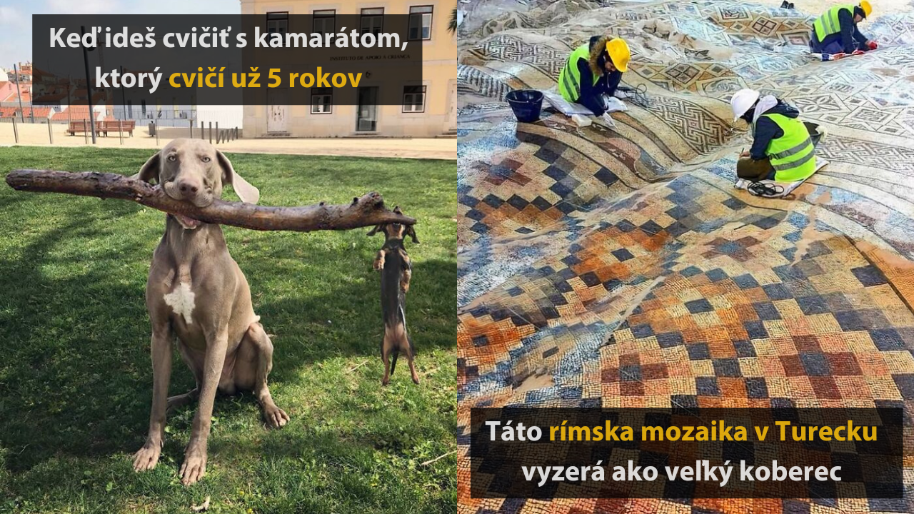 10 zaujímavých obrázkov, ktoré dokonale poukazujú na prírodné kontrasty #1