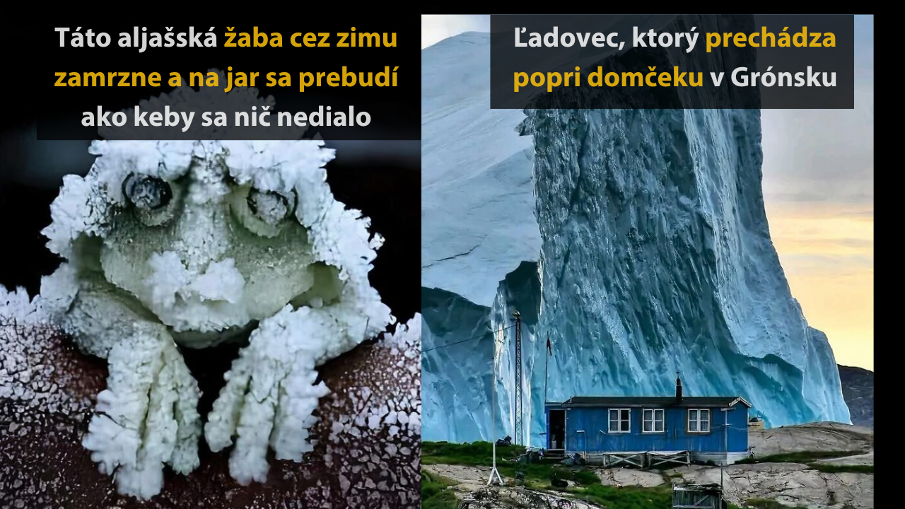 10 zaujímavých obrázkov, ktoré dokonale poukazujú na prírodné kontrasty #2