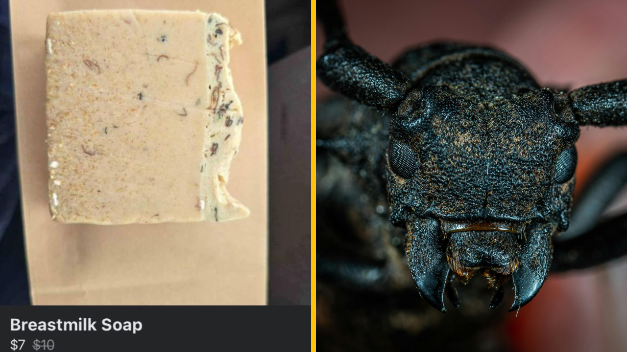 Ľudia sú znechutení po tom, čo zbadali reklamu na mydlo z materského mlieka