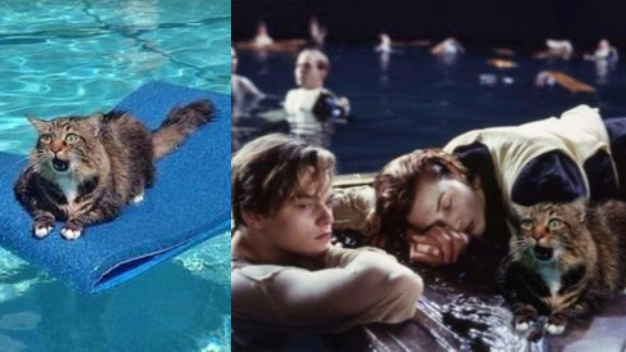 14 ľudí, ktorých zručnosti vo Photoshope sú úžasné