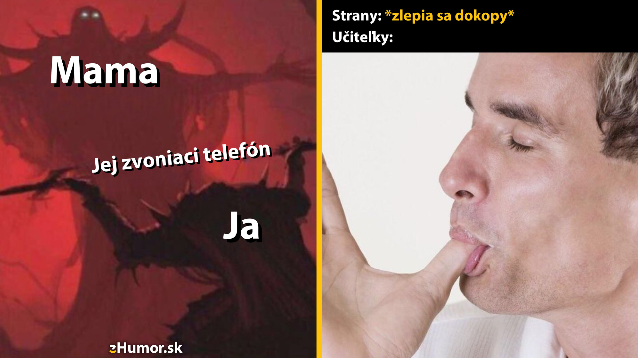 Zopár memečiek, ktoré vznikli, aby ti spríjemnili deň #1439: Nech sa páči, veličenstvo.