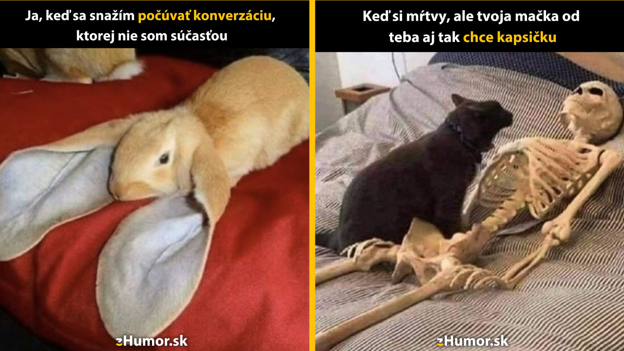 Zopár memečiek, ktoré vznikli, aby ti spríjemnili deň #1444: Veď ja iba trošku popočúvam.