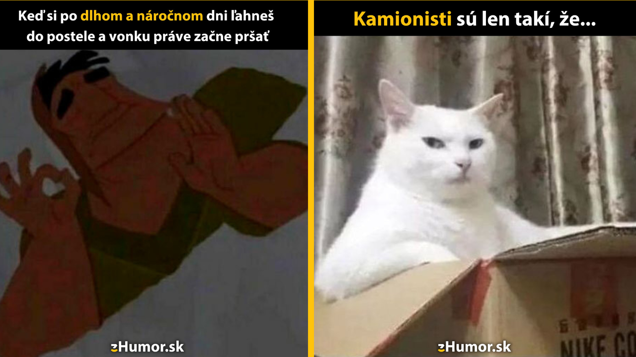 Zopár memečiek, ktoré vznikli, aby ti spríjemnili deň #1445: Už nikdy ma prosím nebuďte.