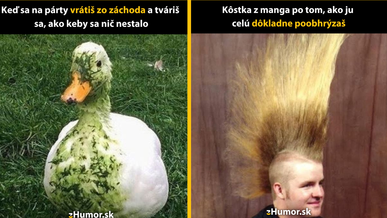 Zopár memečiek, ktoré vznikli, aby ti spríjemnili deň #1446: Ja či som grcal? Ale prosím ťa.