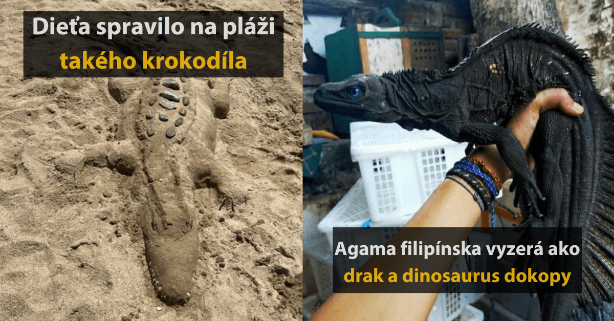 17 ľudí, ktorí sa svetom museli podeľiť o svoje bizarné šokujúce ale zaujímavé objavy