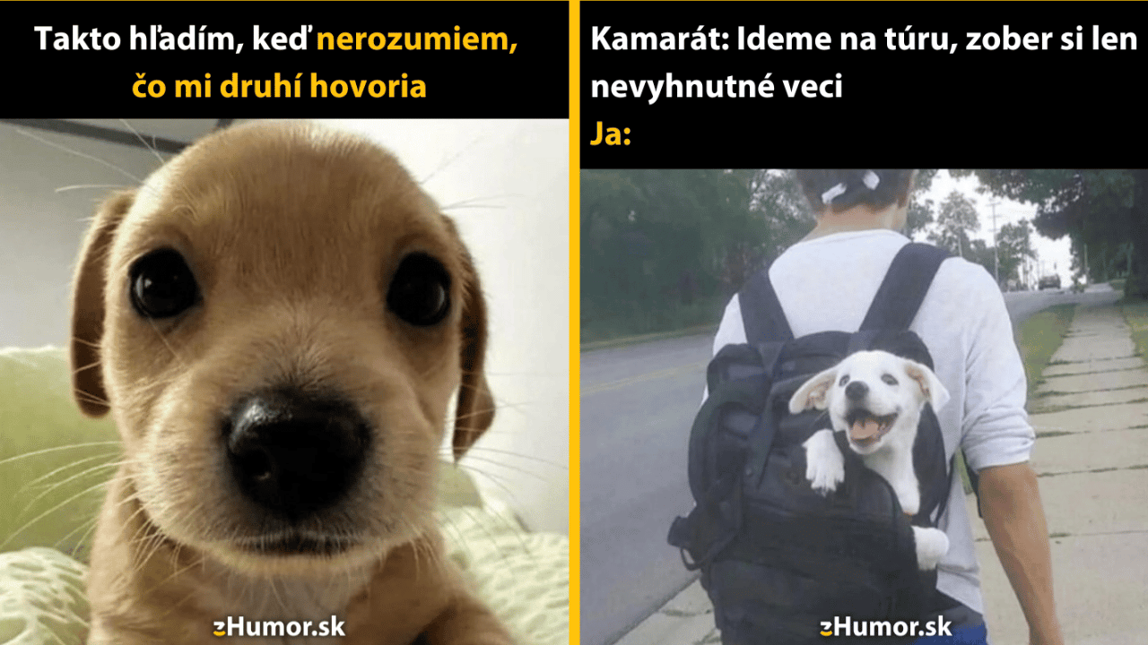 10 psích memečiek, ktoré ti dobijú baterky