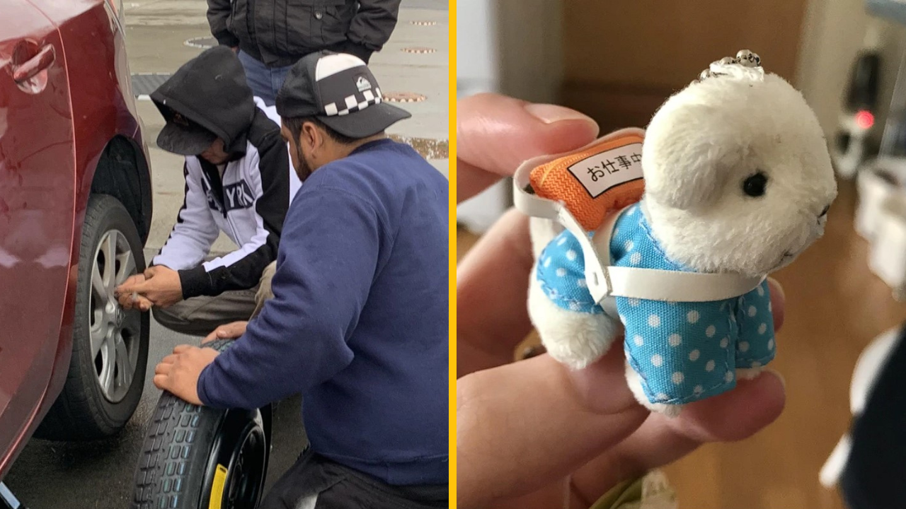 Týchto 10 fotografií dokazuje, že svet nie je zlý