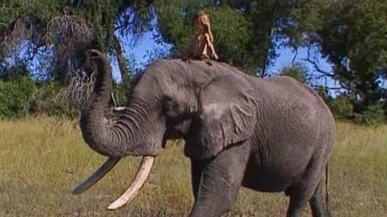 Príbeh ako z Knihy džungle: Dievčatko vyrastalo medzi šelmami, jazdila na slonovi aj krokodílovi