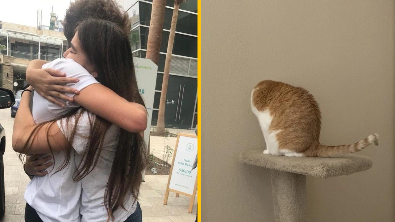 15 skvelých očných klamov z bežného života