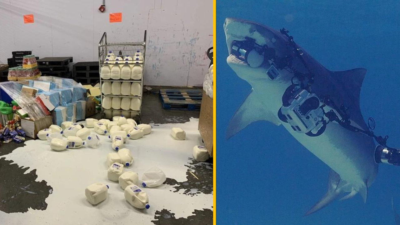 12 ľudí, ktorým to v práci nebudete závidieť