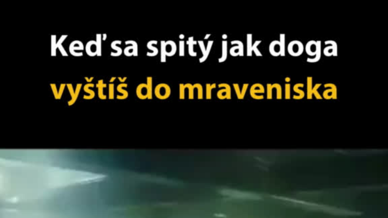 Ožratý ako doga