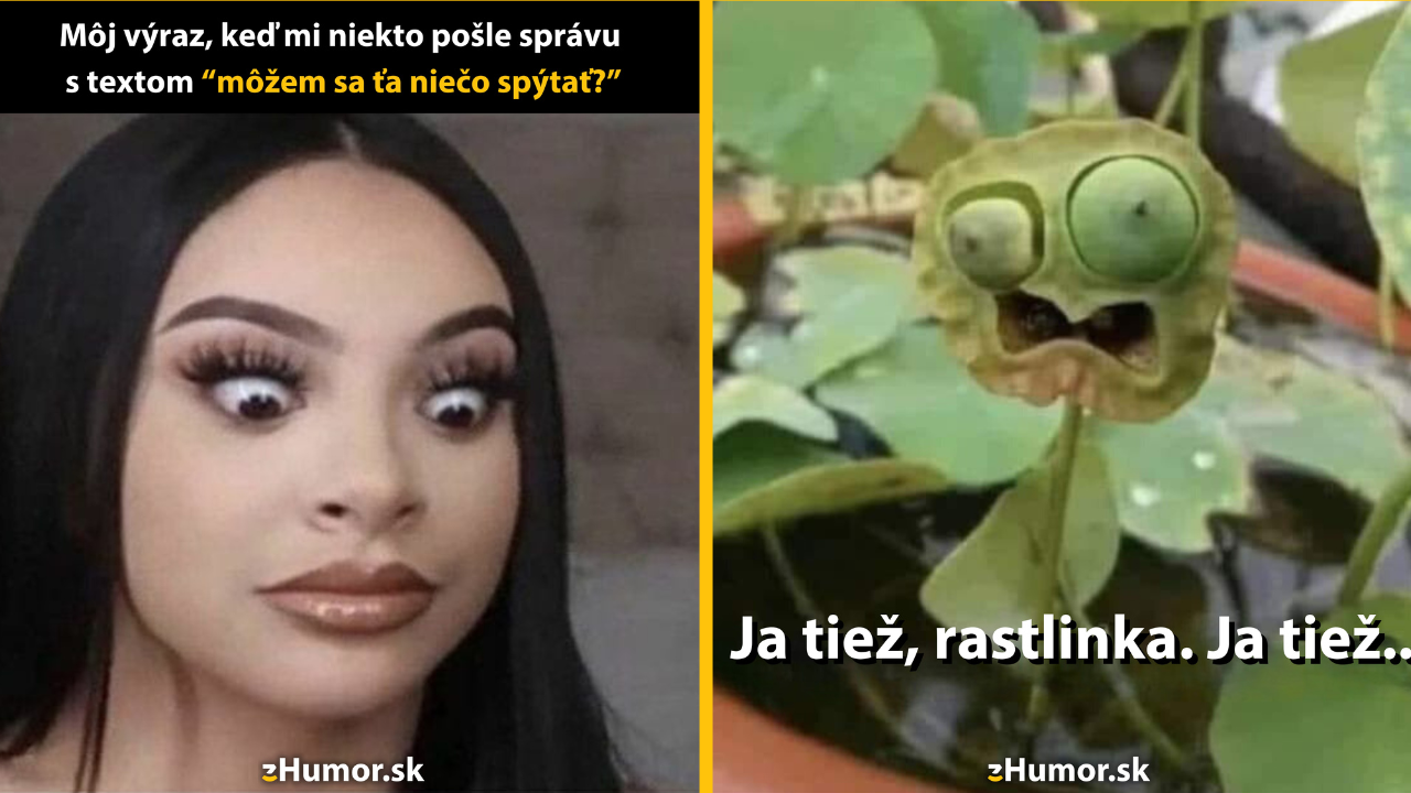 Zopár memečiek, ktoré vznikli, aby ti spríjemnili deň #1459: Najradšej by som teraz neexistovala.