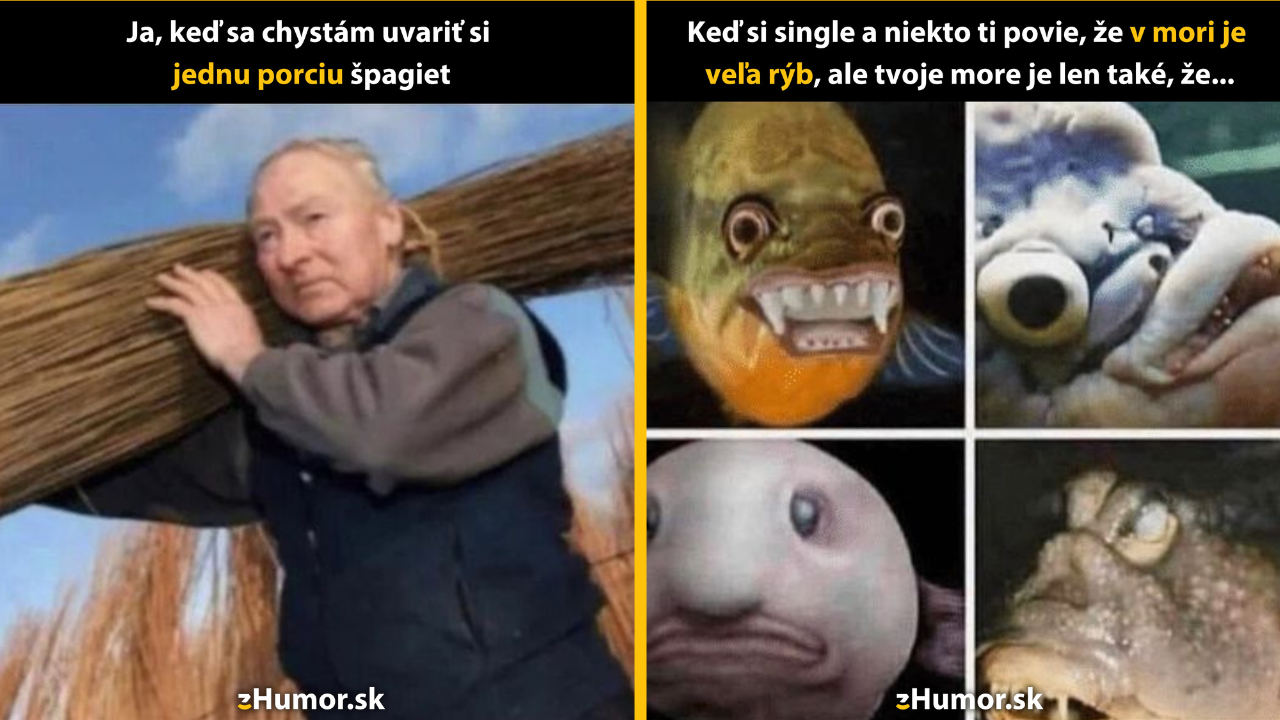 Zopár memečiek, ktoré vznikli, aby ti spríjemnili deň #1450: To by mohlo stačiť.