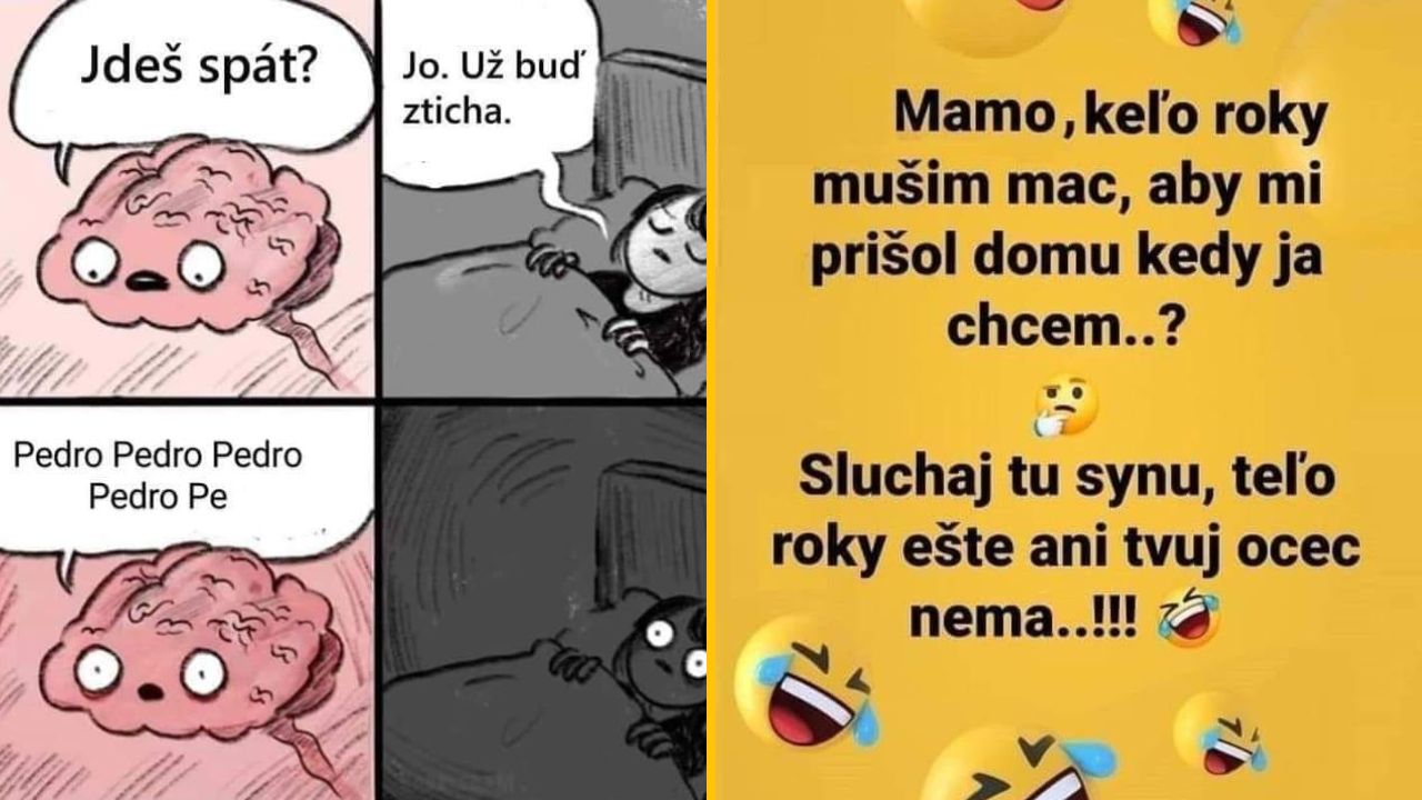 20+ Obrázkov: Všetko vtipné z internetu! #426 – Psy a hmyz alebo zázračná lavica u babky