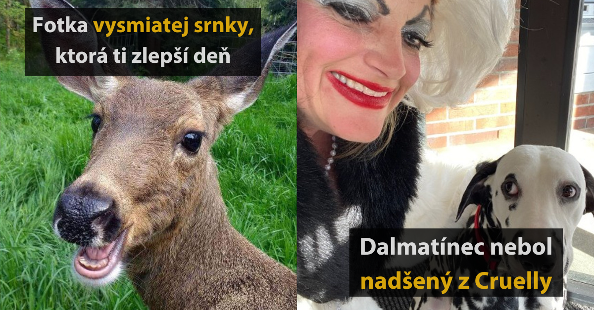 15 fotografií, ktoré vás dnes pobavia a zlepšia vám deň