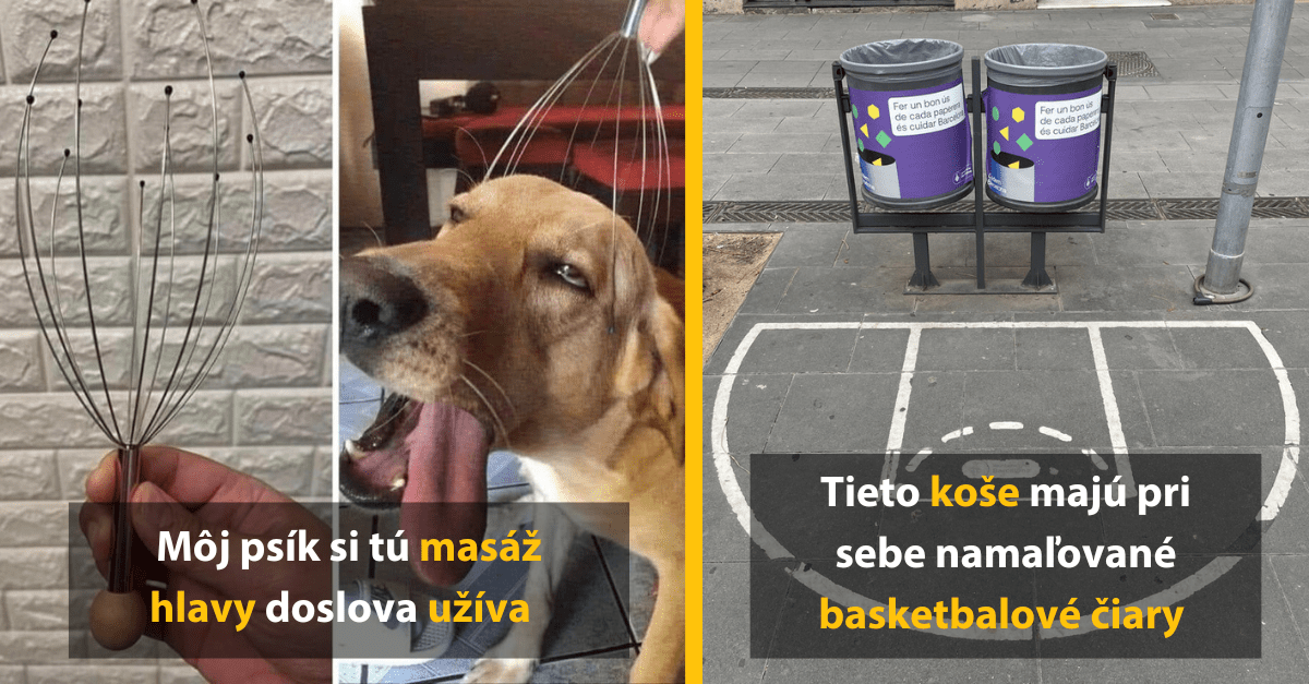 14 vtipných fotografií, ktoré ti zlepšia deň a vyčaria úsmev na tvári