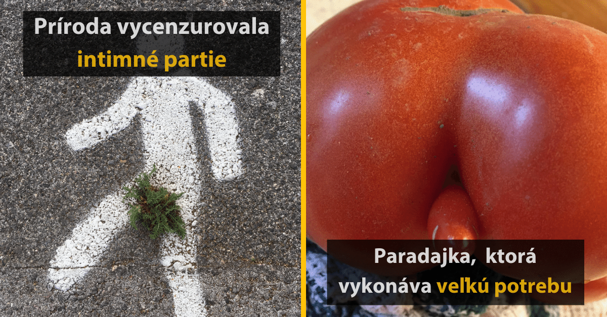17 fotiek, ktoré ti ukážu, že aj matka príroda vie byť niekedy vtipná