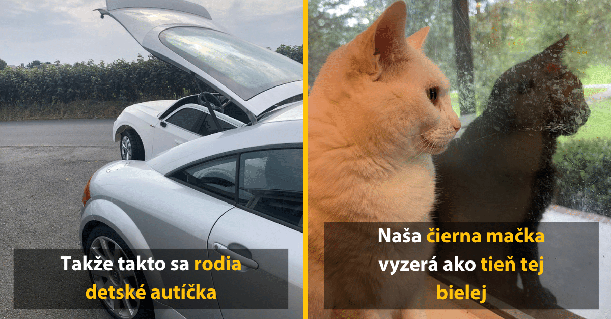 12 fotografií, ktoré boli odfotené z veľmi zvláštnej perspektívy a tak trochu vám zamotajú hlavu