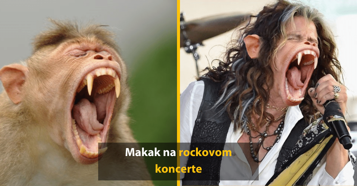 13 vtipných Photoshopových úprav, ktoré by mali dostať medailu za kreativitu