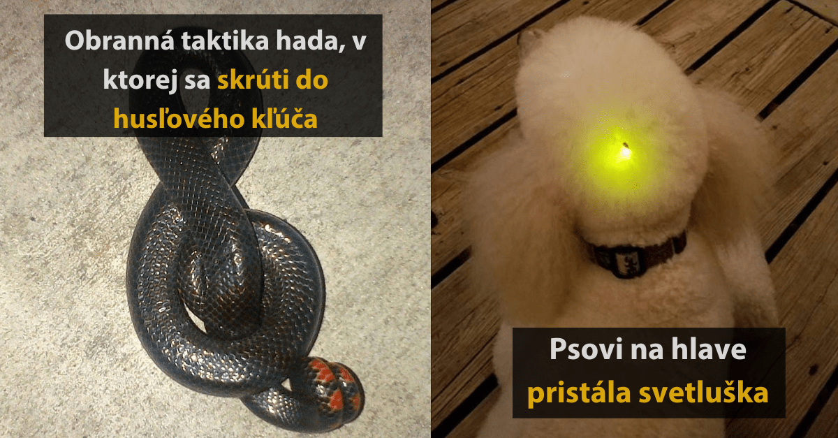 17 zaujímavých fotografií, kedy príroda predviedla svoje umelecké schopnosti