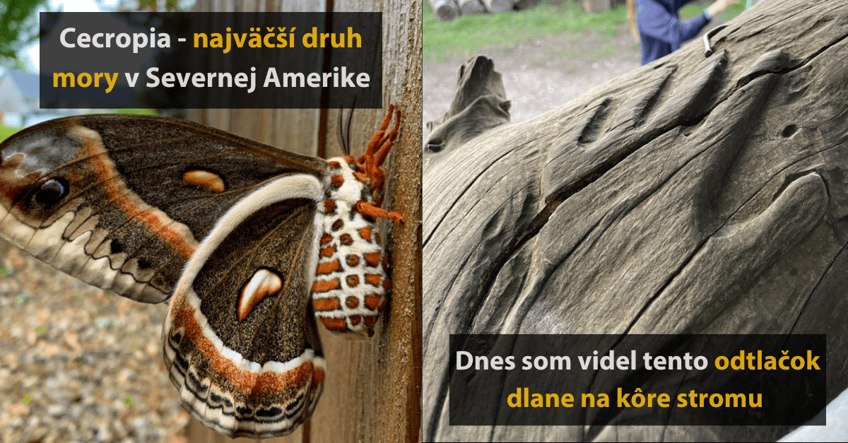 17 prekvapivých fotografií prírody, ktoré neubidíe každý deň