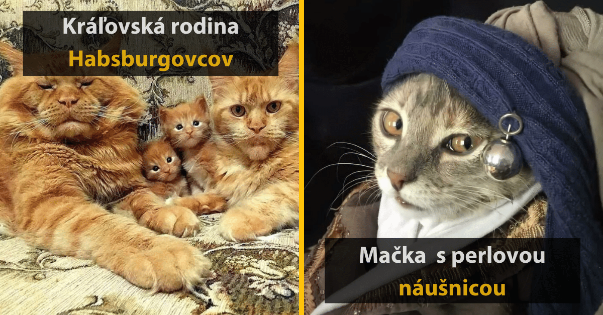 20 fotiek domácich miláčikov, ktoré by sa pokojne uplatnili ako renesančné umenie