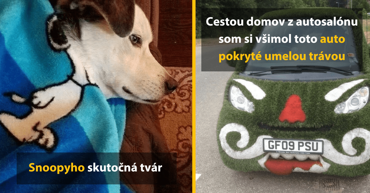 16 ľudí, ktorí museli lepšie preštudovať veci, ktoré videli vo svojom okolí