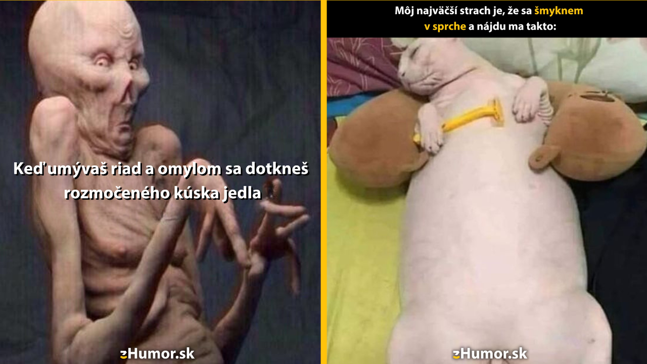 Zopár memečiek, ktoré vznikli, aby ti spríjemnili deň #1456: Toto psychicky asi nezvládnem.