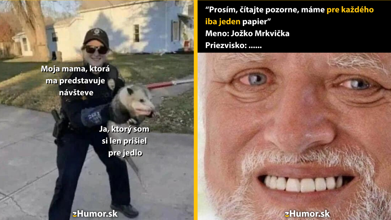 Zopár memečiek, ktoré vznikli, aby ti spríjemnili deň #1458: Ja som tu len úplnou náhodou.