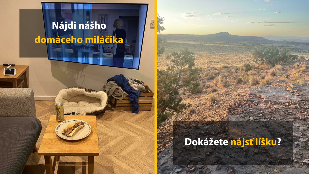 Dokážeš nájsť na týchto 10 fotkách rôzne zvieratá a veci? #1