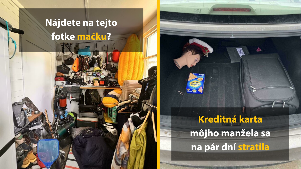 Dokážeš nájsť na týchto 10 fotkách rôzne zvieratá a veci? #2