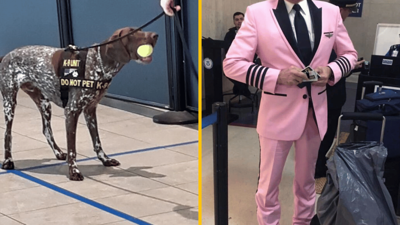 10 úsmevných situácií, ktoré zažiješ len na letisku