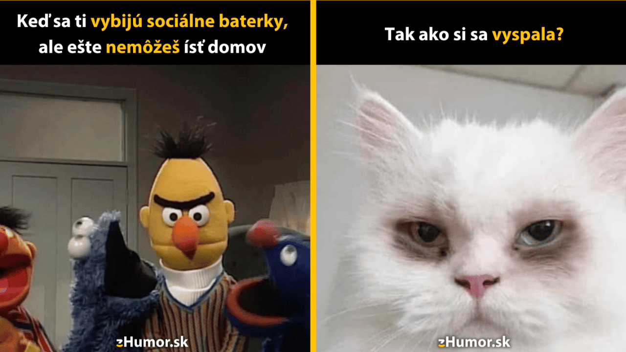 10 memečiek, ktoré ti spríjemnia pracovný týždeň