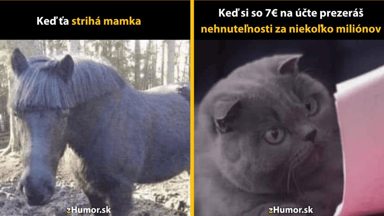 10 memečiek z ríše zvierat, ktoré musíš vidieť