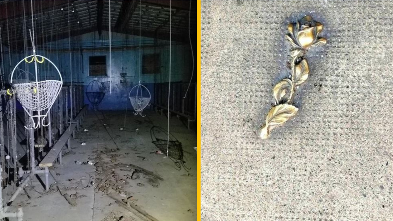 19 zvláštnych predmetov, ktoré sa na prvý pohľad nedajú identifikovať