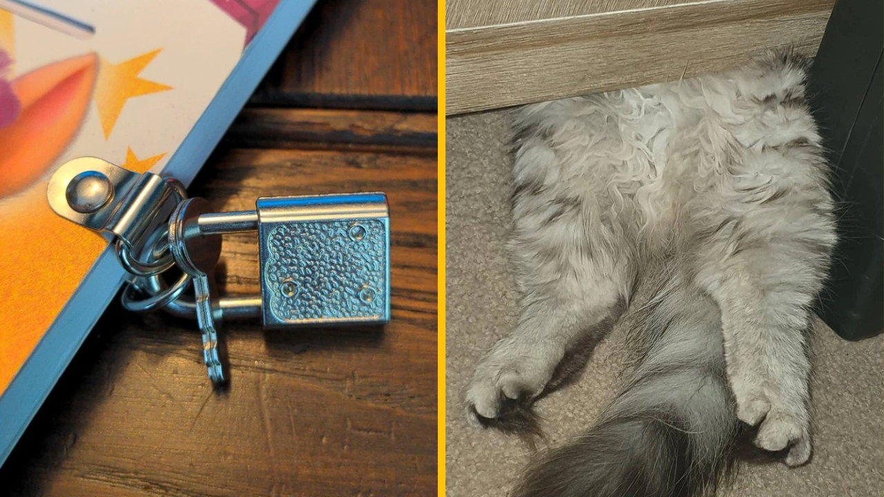 Týchto 10 fotografií potvrdzuje, že život treba brať s humorom