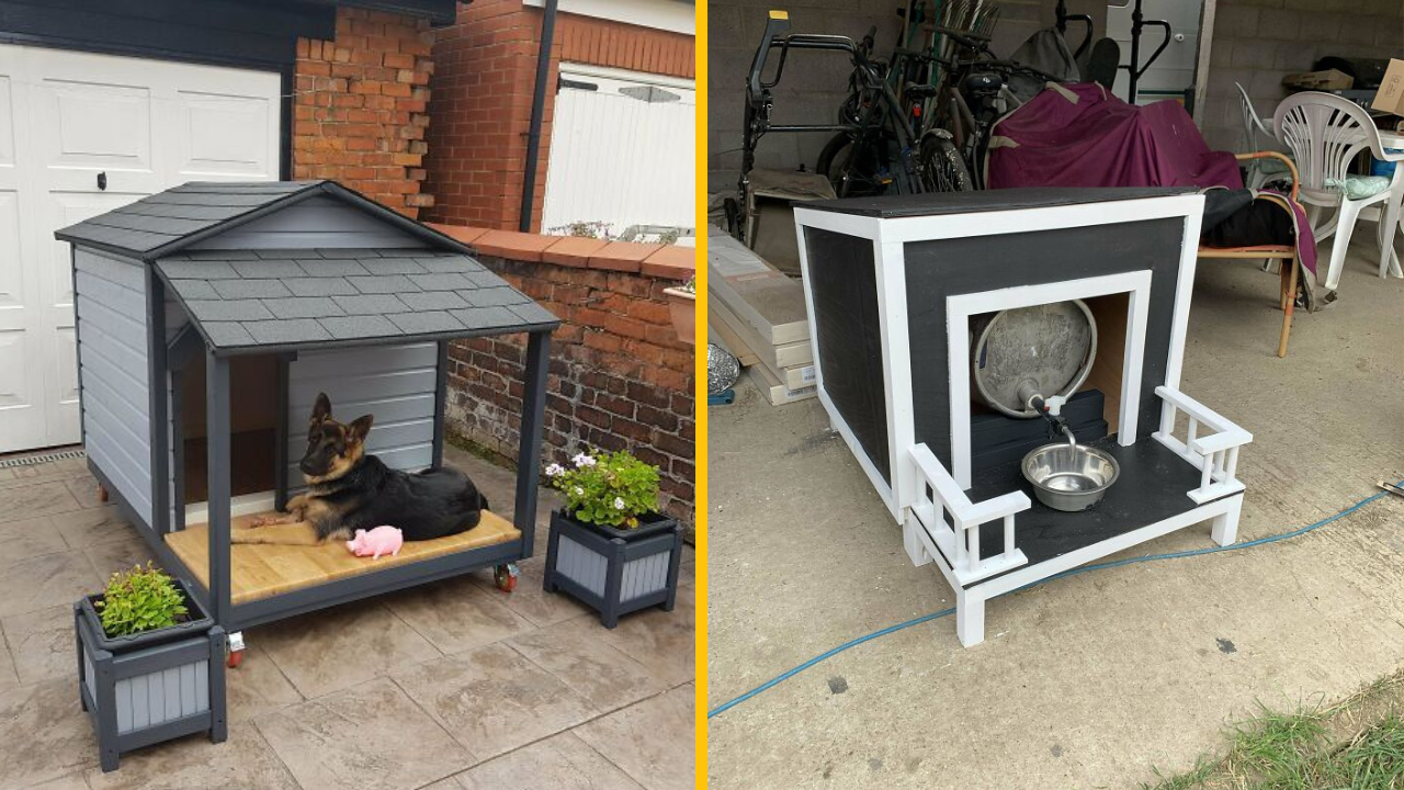 Týchto 10 búd by chcel mať každý pes